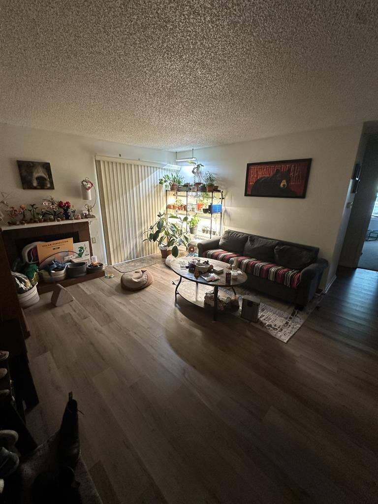 Looking for room/roommate by