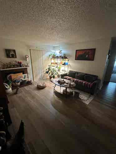 Looking for room/roommate by