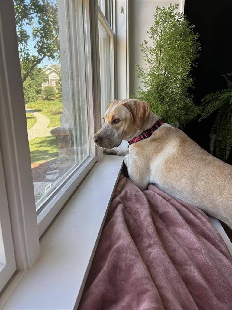 Maddie