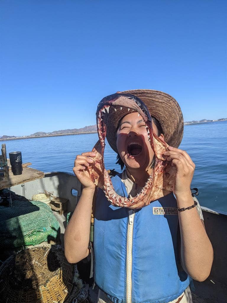 ISO Room in a chill home