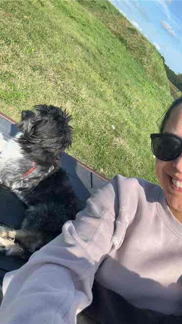 Pet friendly / i have a small dog