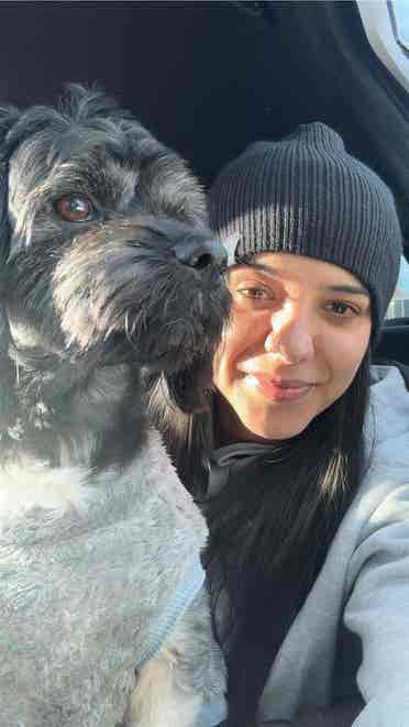 Pet friendly / i have a small dog