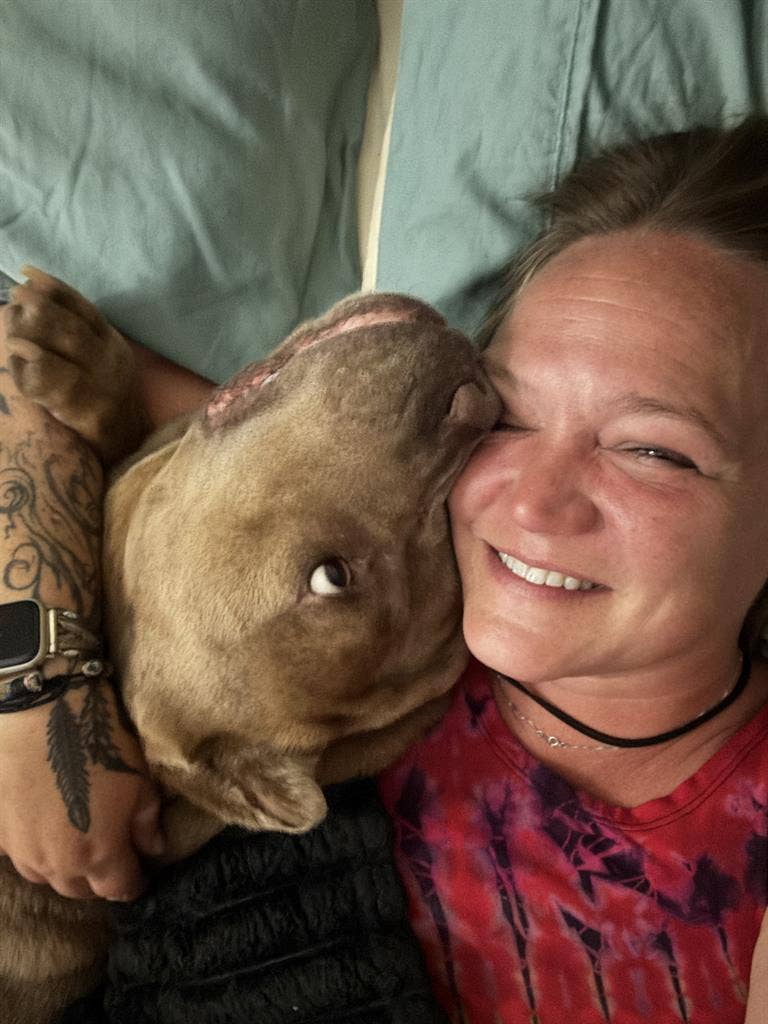 Pet friendly room wanted
