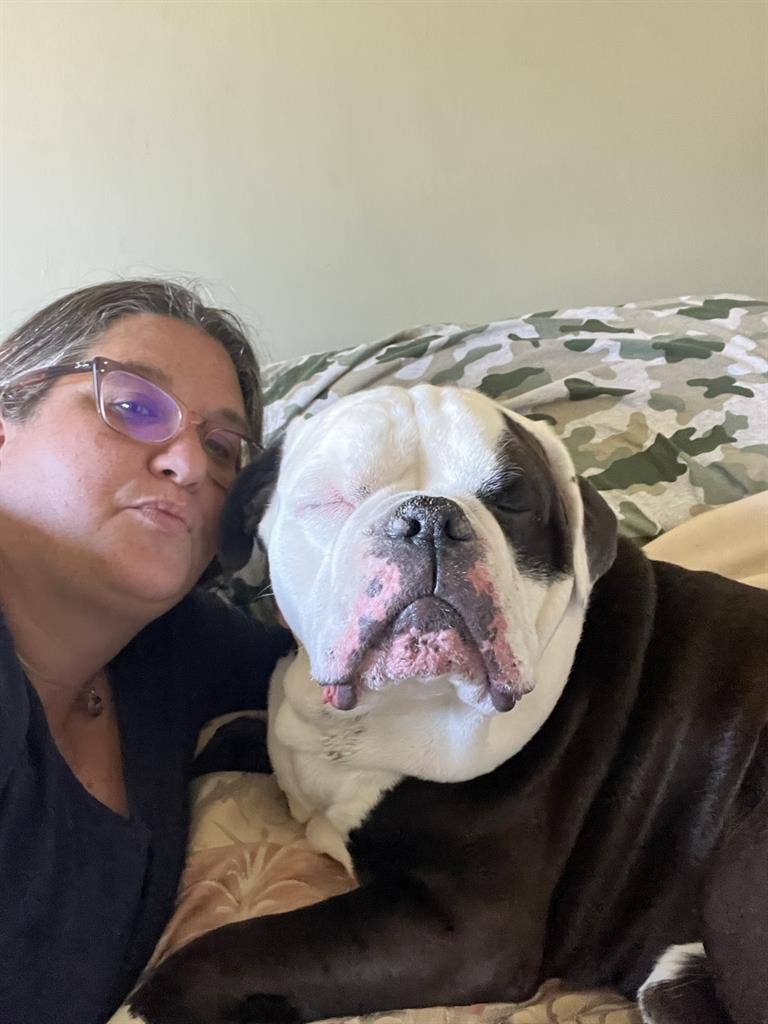 Looking for a room for rent