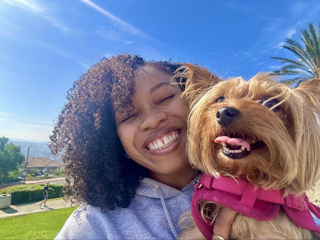 Quiet, clean worker with Yorkie