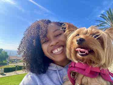 Quiet, clean worker with Yorkie