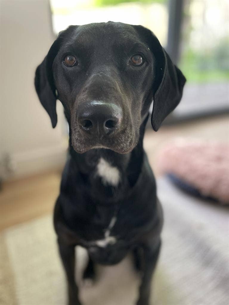 jenny