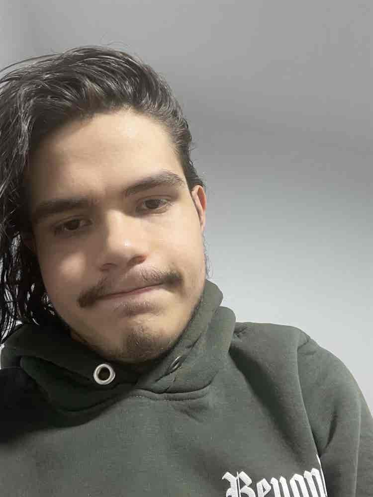 L Sebastian