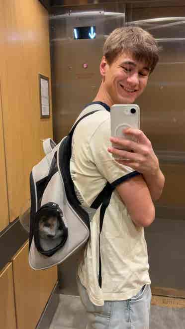 Hi! Looking to move to D.C