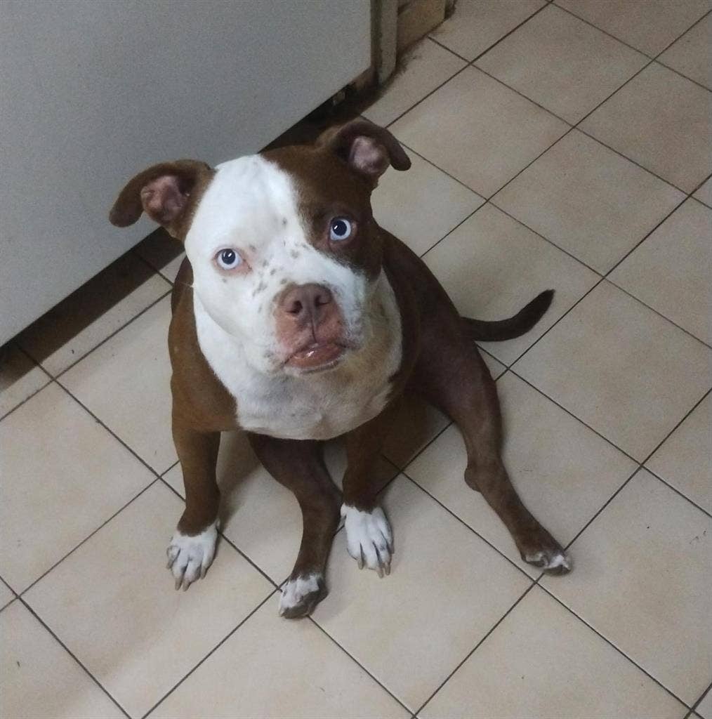 Busco alquilar una habitación