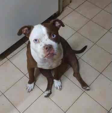 Busco alquilar una habitación