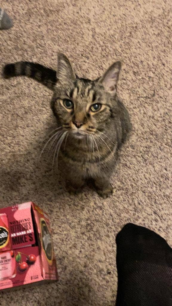 Looking for room in Monroe!