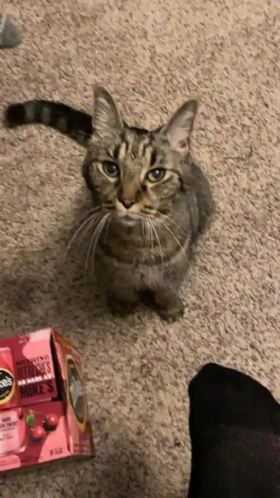 Looking for room in Monroe!