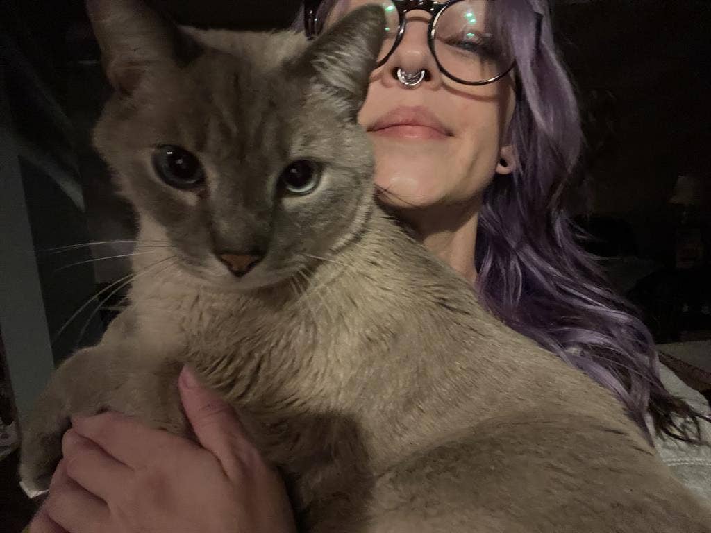 Chill, flexible, clean cat mom