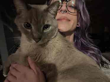 Chill, flexible, clean cat mom