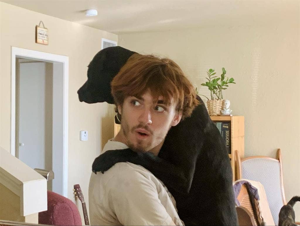 Pet-friendly nonjudgmental teacher