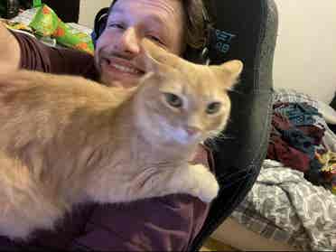 Looking for a room in the LA area