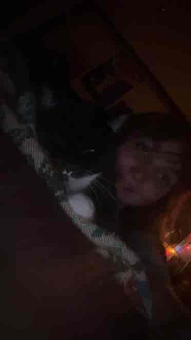 female need roommates and room