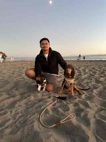 Looking for room to rent w/ pet