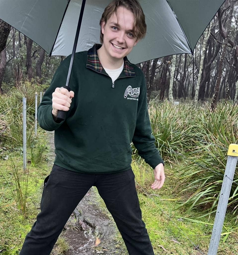 Student needs room in S Brisbane