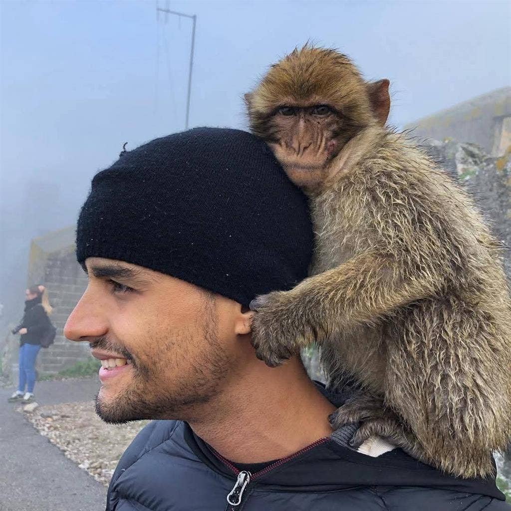 Daniel