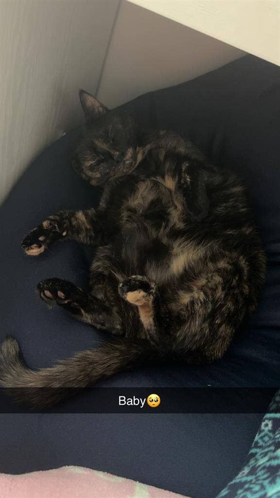 Gabby