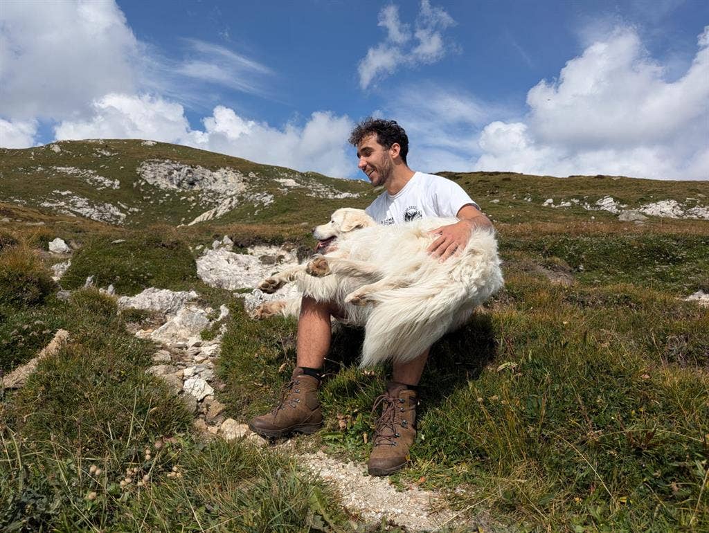 Swiss-Italian, 1 year training