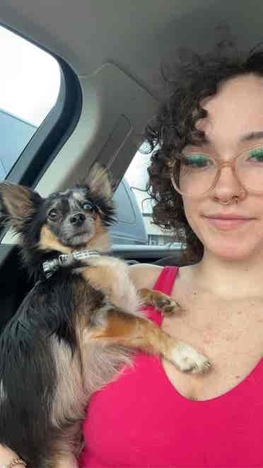 Looking for a roomate! (female only