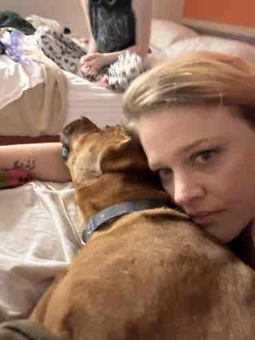 Looking for pet friendly room