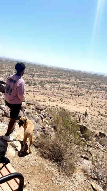 Looking for a room in Avondale Az