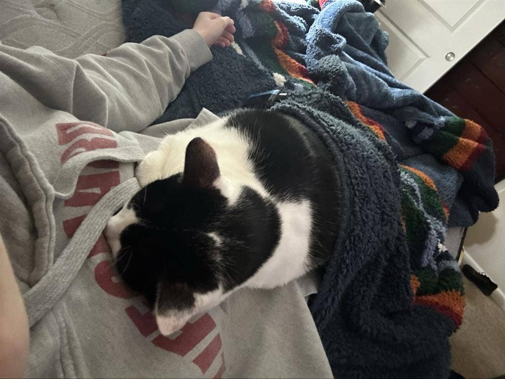 Couple looking for room for rent