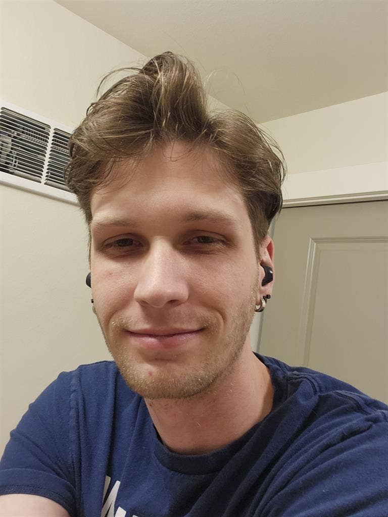 Single male with two older dogs