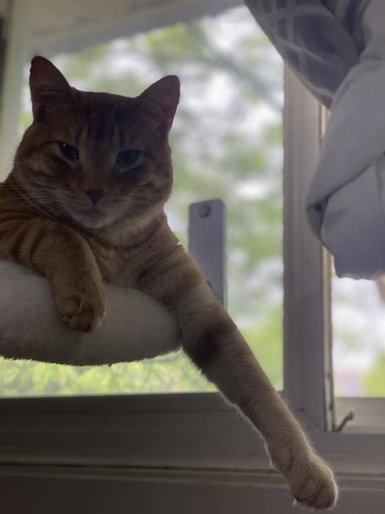 Leo