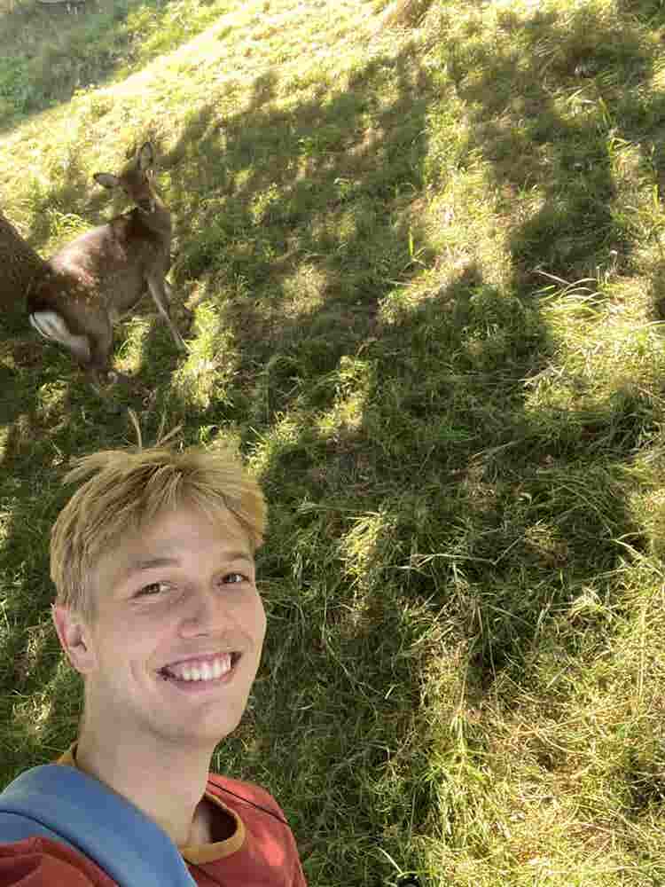 Exchange student looking for a room