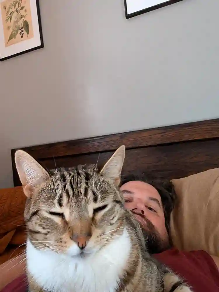 Recently separated, comes with cat.