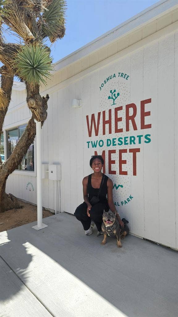 Seeking Short Term Apt or Room