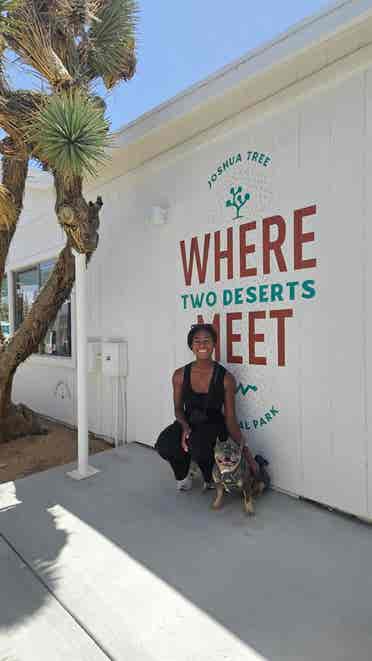Seeking Short Term Apt or Room