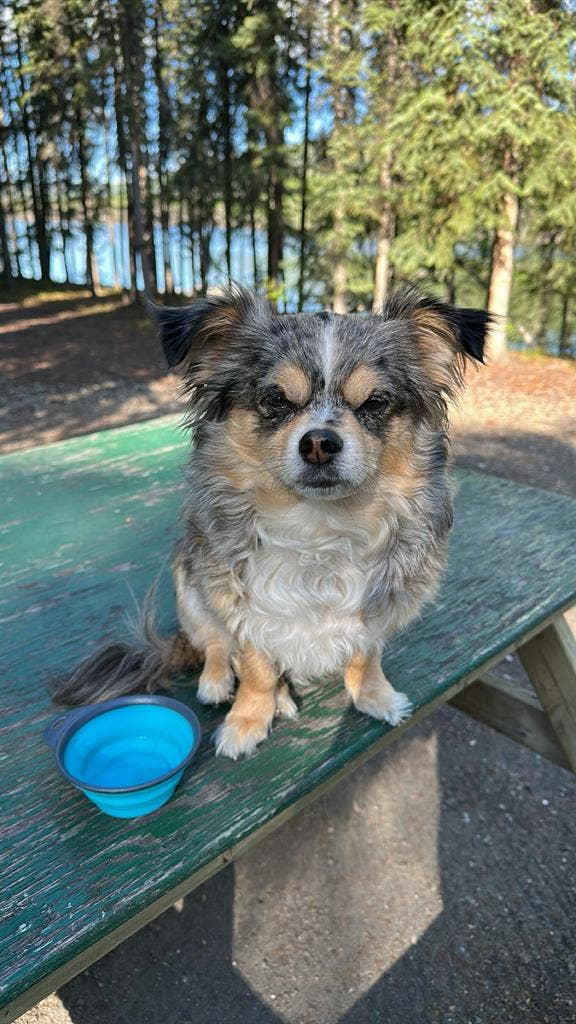 Looking for a home!
