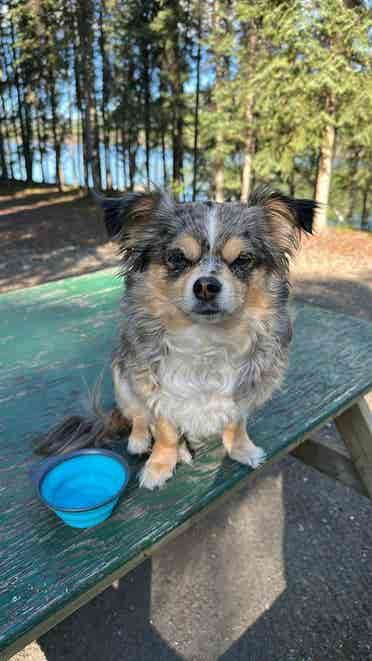 Looking for a home!