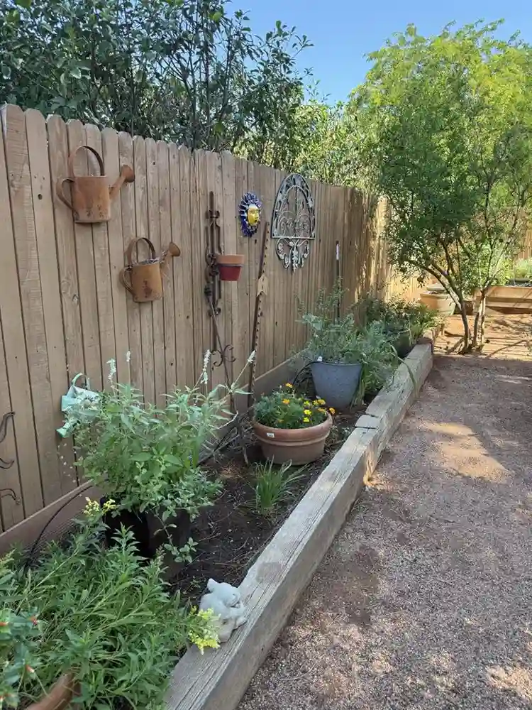 Roommate in adult active community