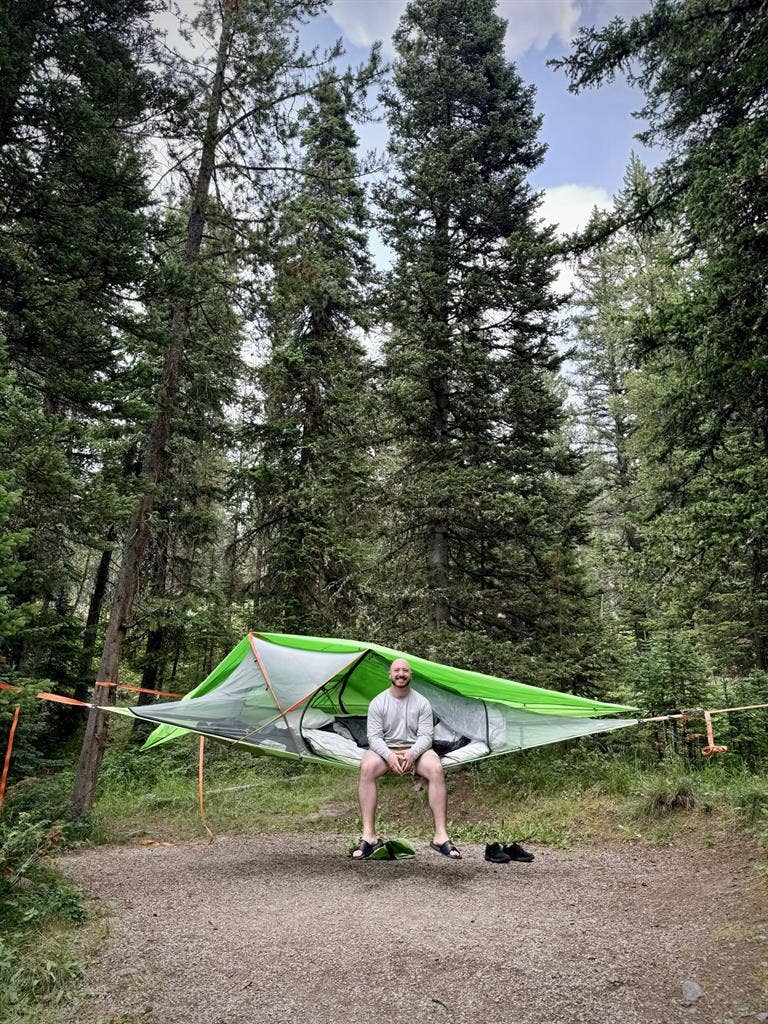 Easy going, Stable, Courteouss