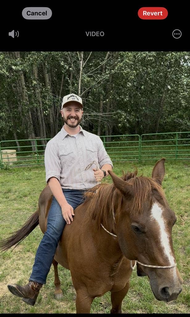 Easy going, Stable, Courteouss