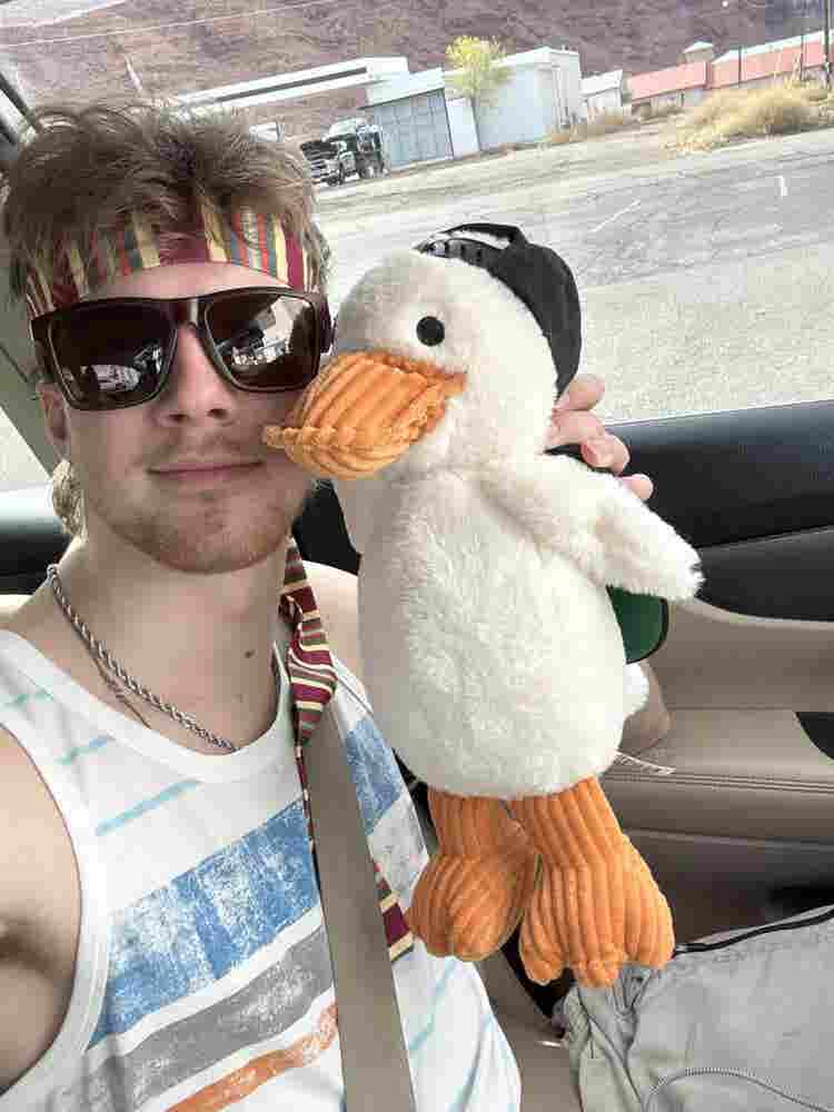 Looking for a Roommate