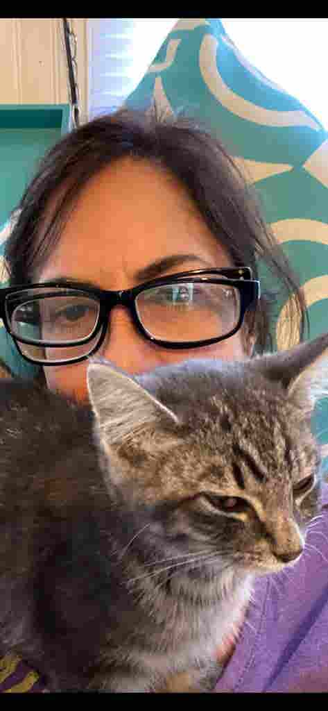 I’m looking for pet friendly places