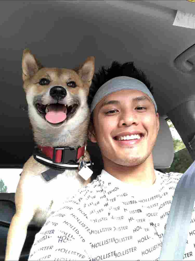 Clean Respectful gamer dog owner