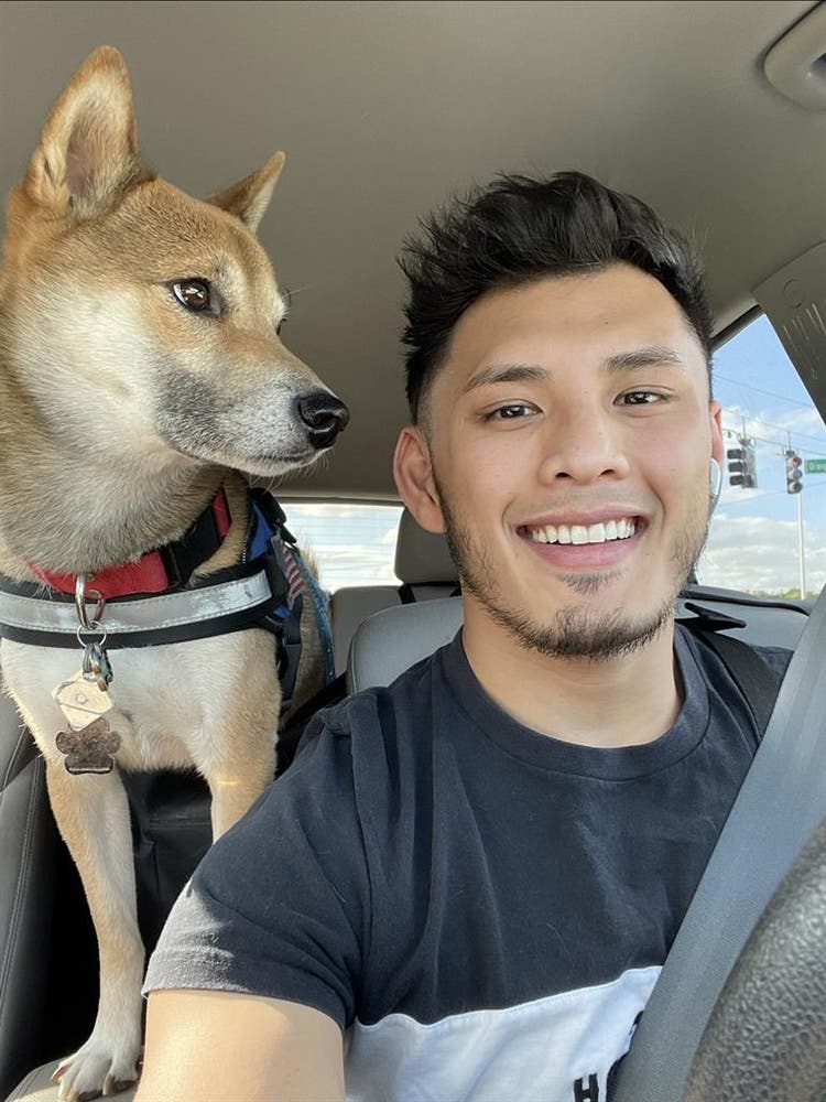 Clean Respectful gamer dog owner