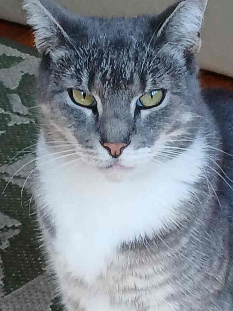 Brian