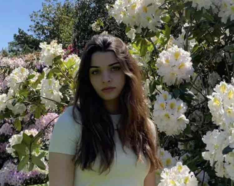 rose
