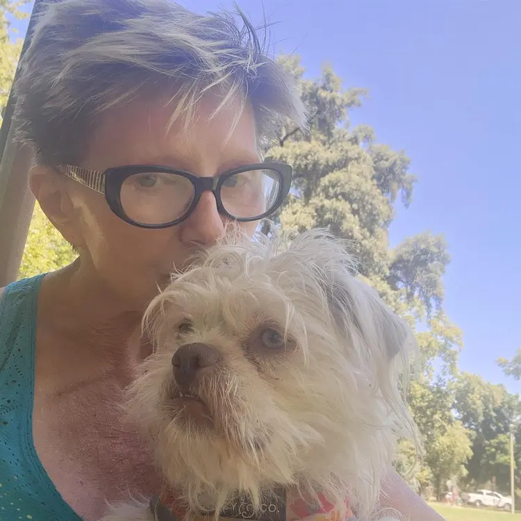 seeking to rent room in