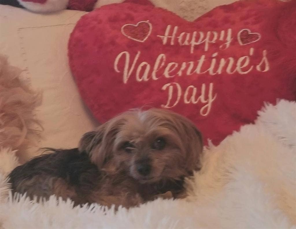 seeking to rent room in